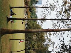 -荔枝公园(福田区)