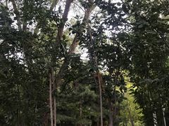 -北极寺公园