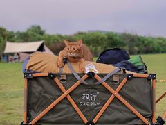 -上海佘山国家森林公园西佘山园