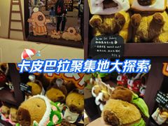 -首开·龙湖成都西宸天街