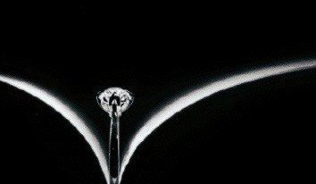 -静安洲际酒店·宴会厅