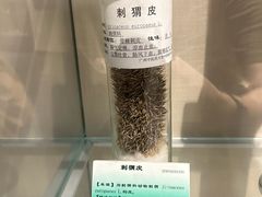 -广东中医药博物馆