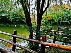 -新江湾城公园