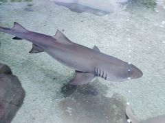 -鸿通城购物中心