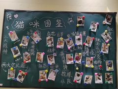 -藏猫猫咖啡主题馆(中央大道店)