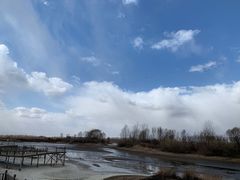 -蒲河岛湿地公园