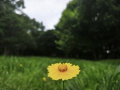 -嘉北郊野公园