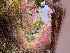 -深圳国际园林花卉博览园