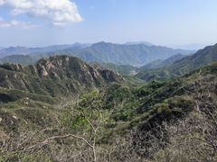 -大岭沟猕猴桃谷风景区