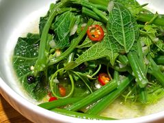 木姜子伴丝瓜尖-一坐一忘云南菜(嘉里中心店)