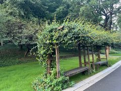-青枫公园