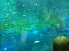 -福州罗源湾海洋世界旅游区