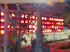 -二荆条·蜀鲜汇城市森林火锅
