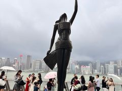 -星光大道