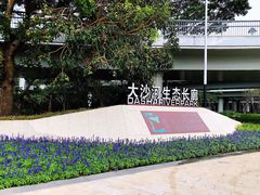 -大沙河公园