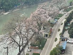 -红星桥(地铁站)