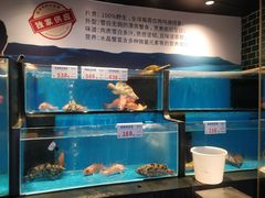 菜单-南海渔村·二沙一号