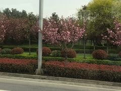 -洨河生态公园