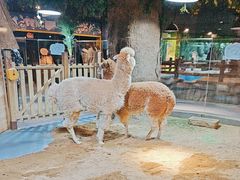 -秦皇岛新澳海底世界