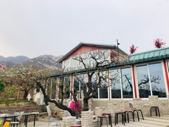 -闻道食府烙饼卷带鱼(原车耳营店原大觉寺店)