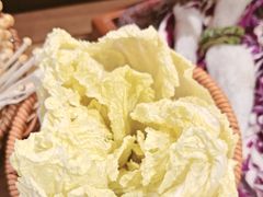 -季季山·云南野生菌火锅(上海首店)