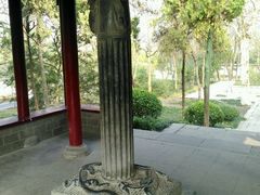 android_upload_pic-逍遥津公园