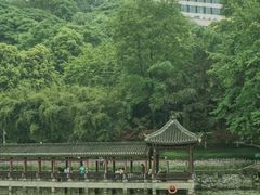 -龙头寺公园