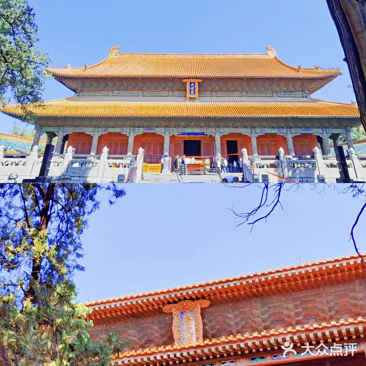 山东旅游|曲阜三孔景区超详细游玩攻略🏯内附地图