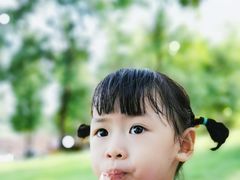 -飞来湖湿地公园