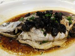 -海晖酒楼·顺德鱼生(荣华店)