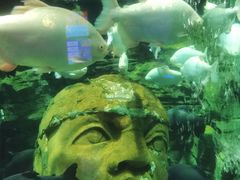-成都浩海立方海洋公园
