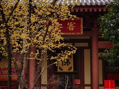 -西安大兴善寺