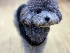 -观桥阁(锦溪店)