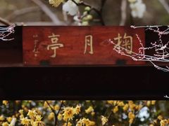 -杭州植物园