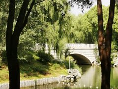 -大兴滨河森林公园