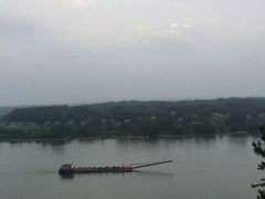 -枫林花海