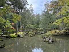 -西芳寺(苔寺)