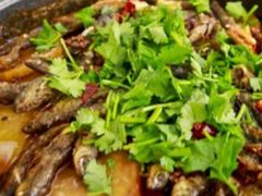 -正宗来凤鱼璧山兔(花卉园店)