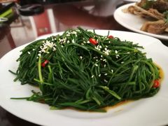 -范记靖远羊羔肉(博物馆店)