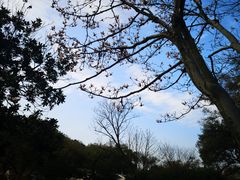 -杭州花家山庄