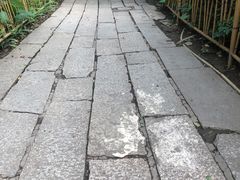 -小洲村