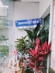 -薇薇安花系SPA