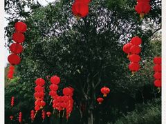-云溪植物园