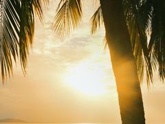 -三亚南山文化旅游区