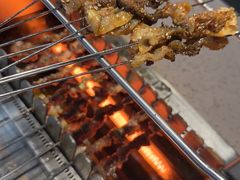 -邢氏老太太烧烤(南山店)