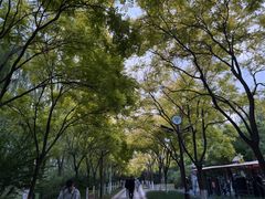 -南翠屏公园