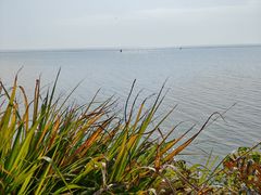 -贡湖湾湿地公园