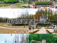 -音乐台