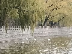 -迎泽公园