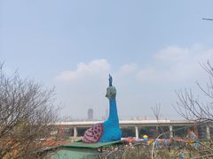 -秀丽东方